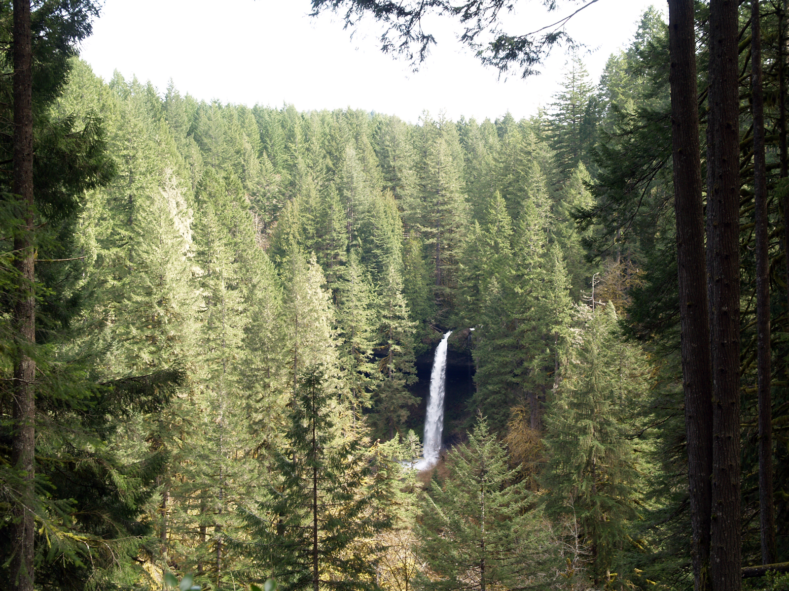 Silver Falls State Park Pacific Northwest Photoblog