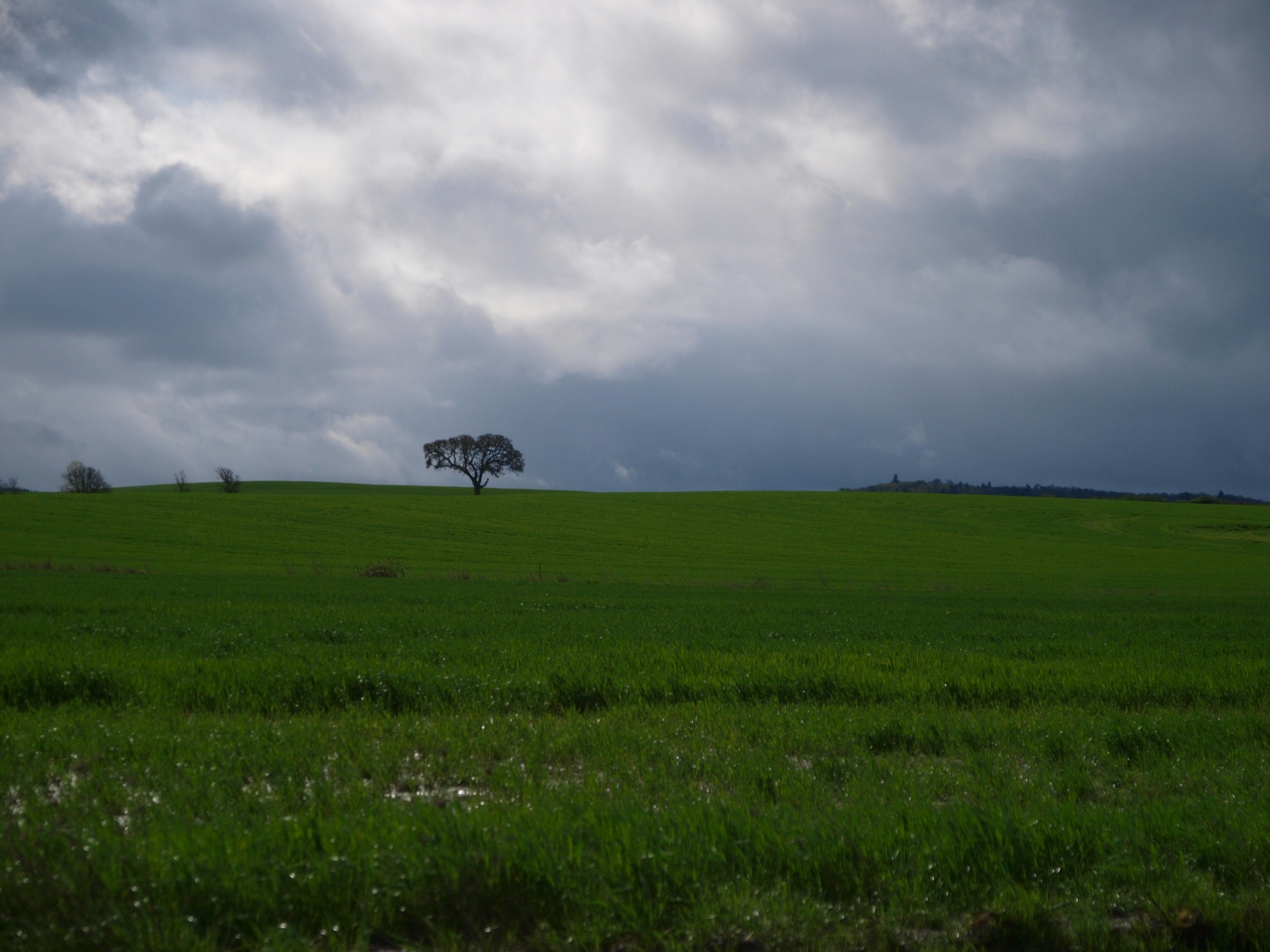 Perrydale, Oregon Not quite a Ghost Town Pacific Northwest Photoblog