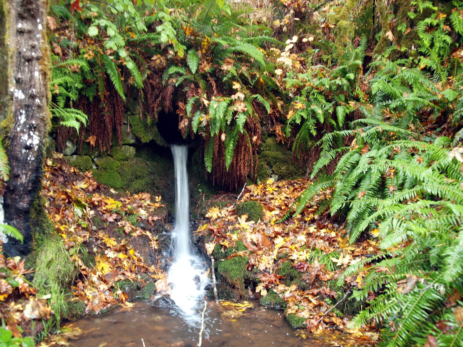 Beaver Falls Clatskanie Oregon Pacific Northwest Photoblog