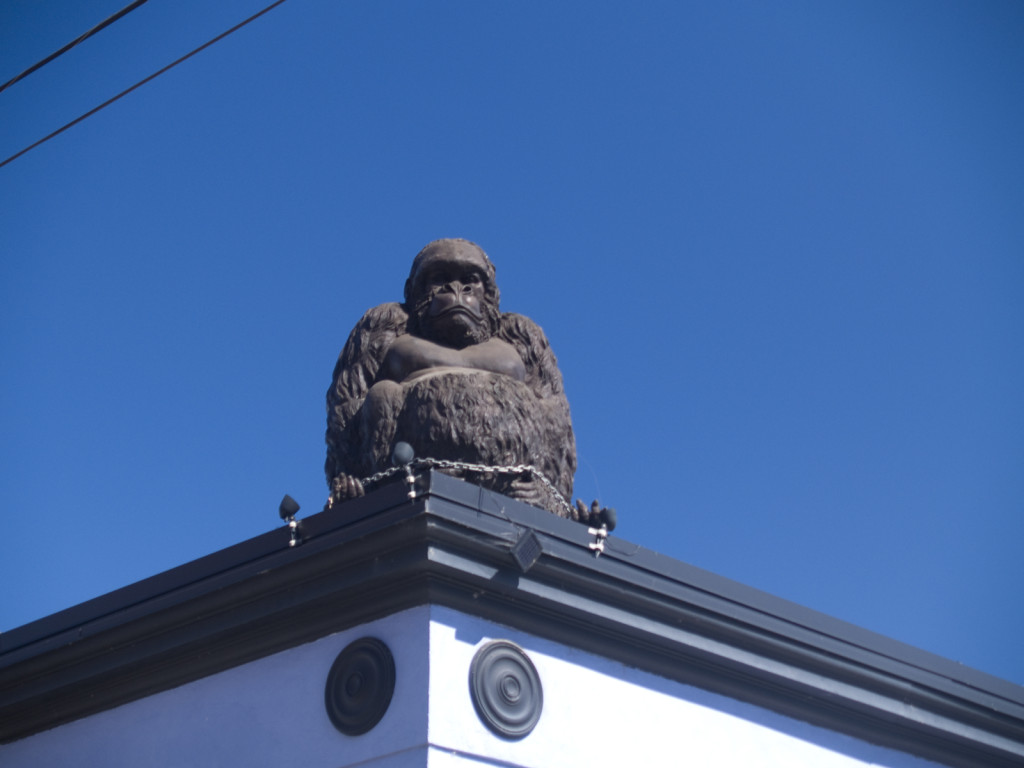 King Kong Chained! Pacific Northwest Photoblog