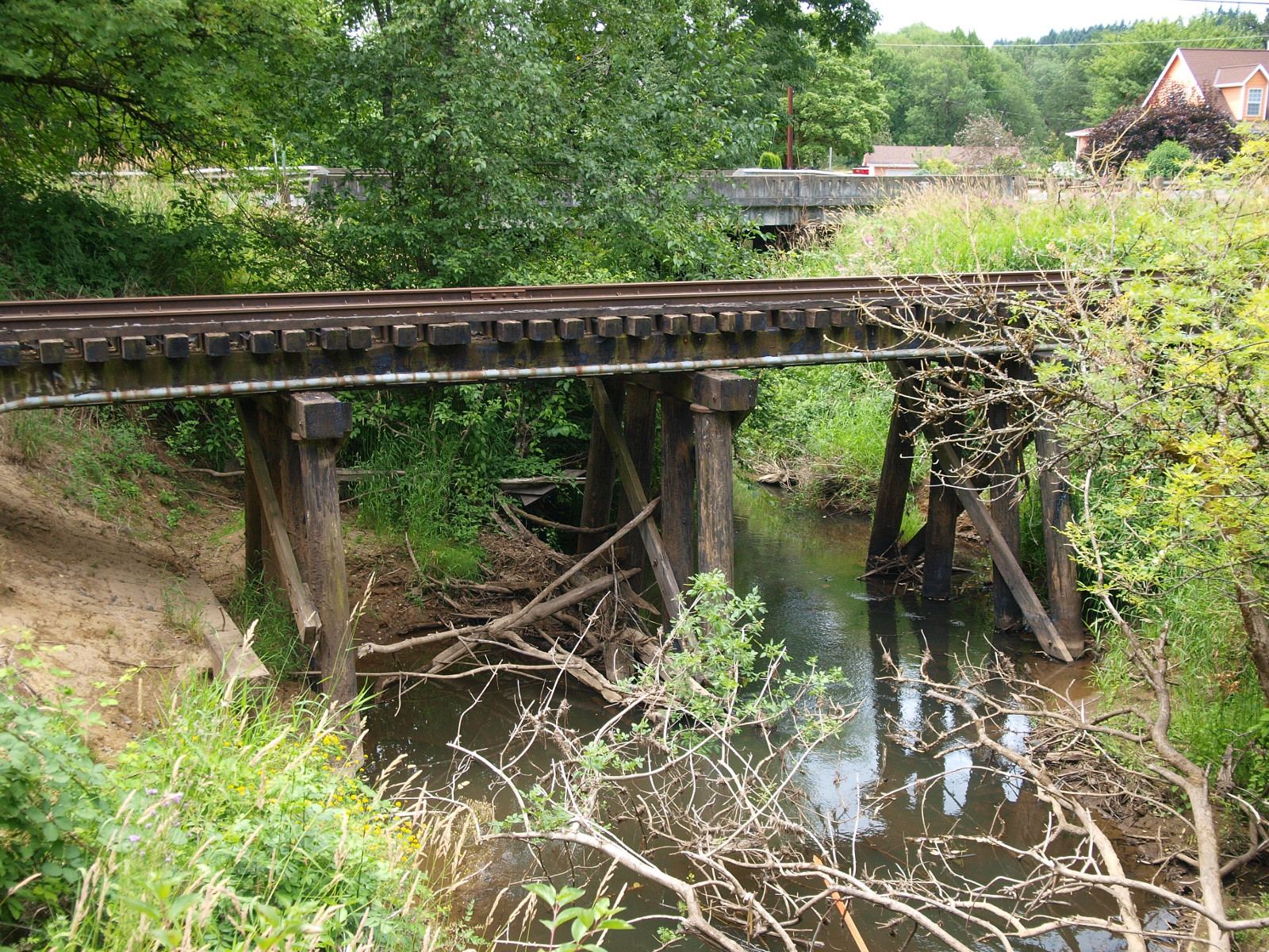 BanksVernonia State Trail Pacific Northwest Photoblog